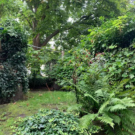 Apartment Essen City Апартаменты Эссен