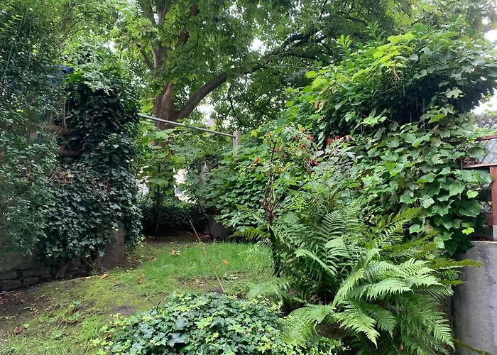 Apartment Essen City Apartamento Essen